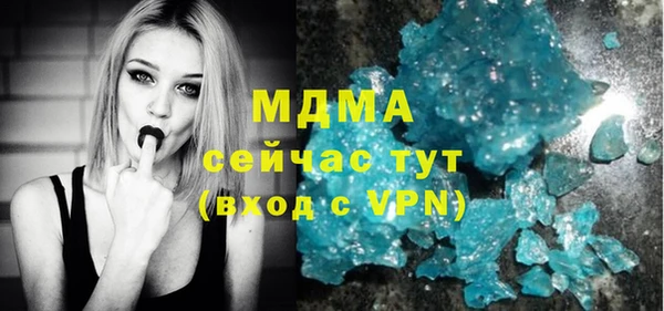 индика Вяземский